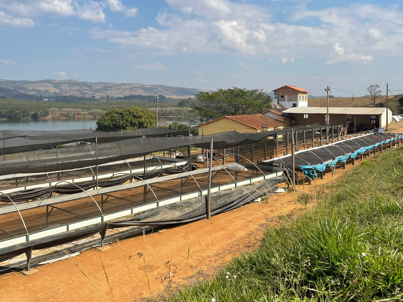 ブラジル ファゼンダ ウム | BRAZIL, FAZENDA UM