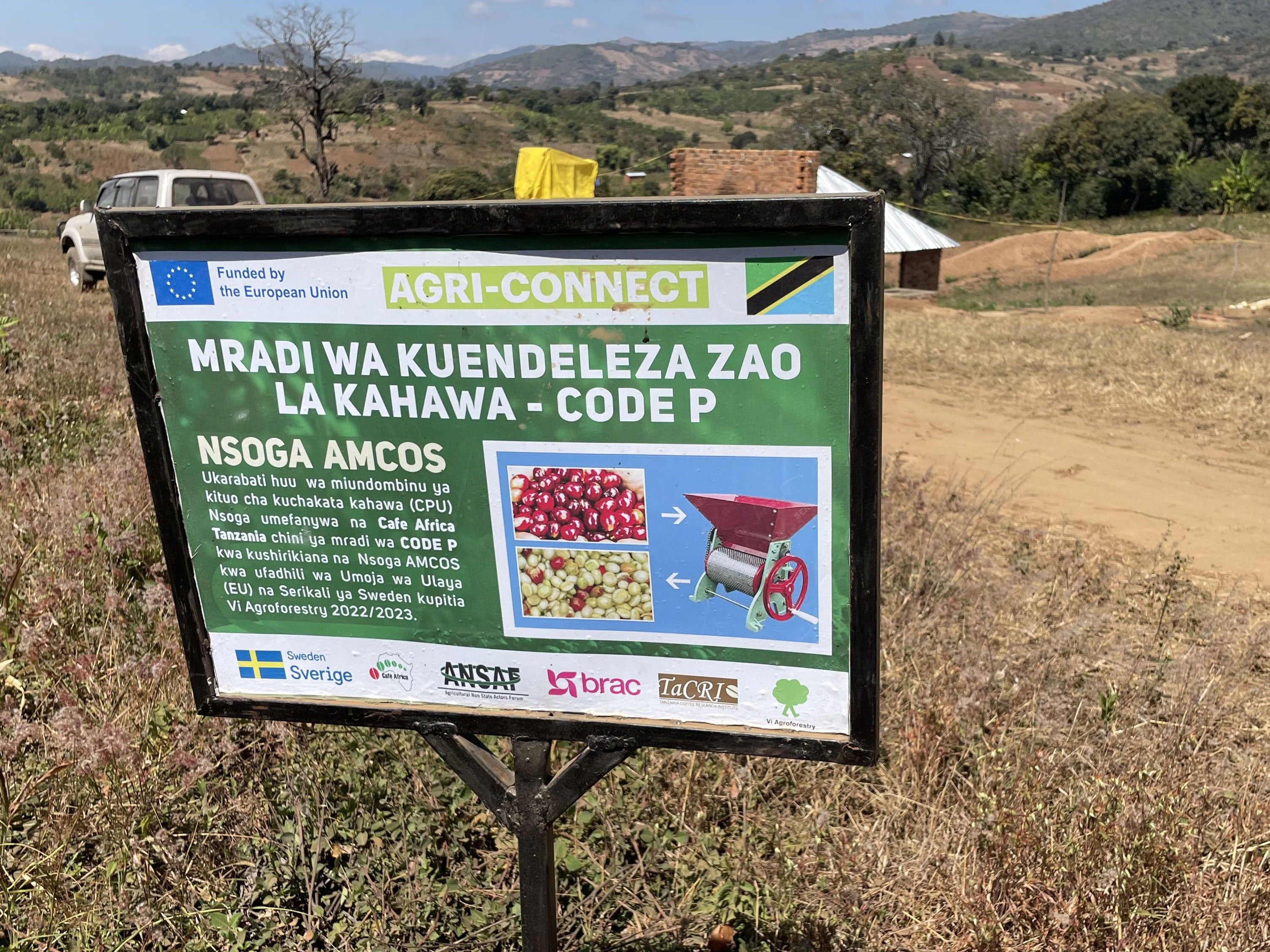 タンザニア ンソガ アナエロビック |TANZANIA, NSOGA ANAEROBIC