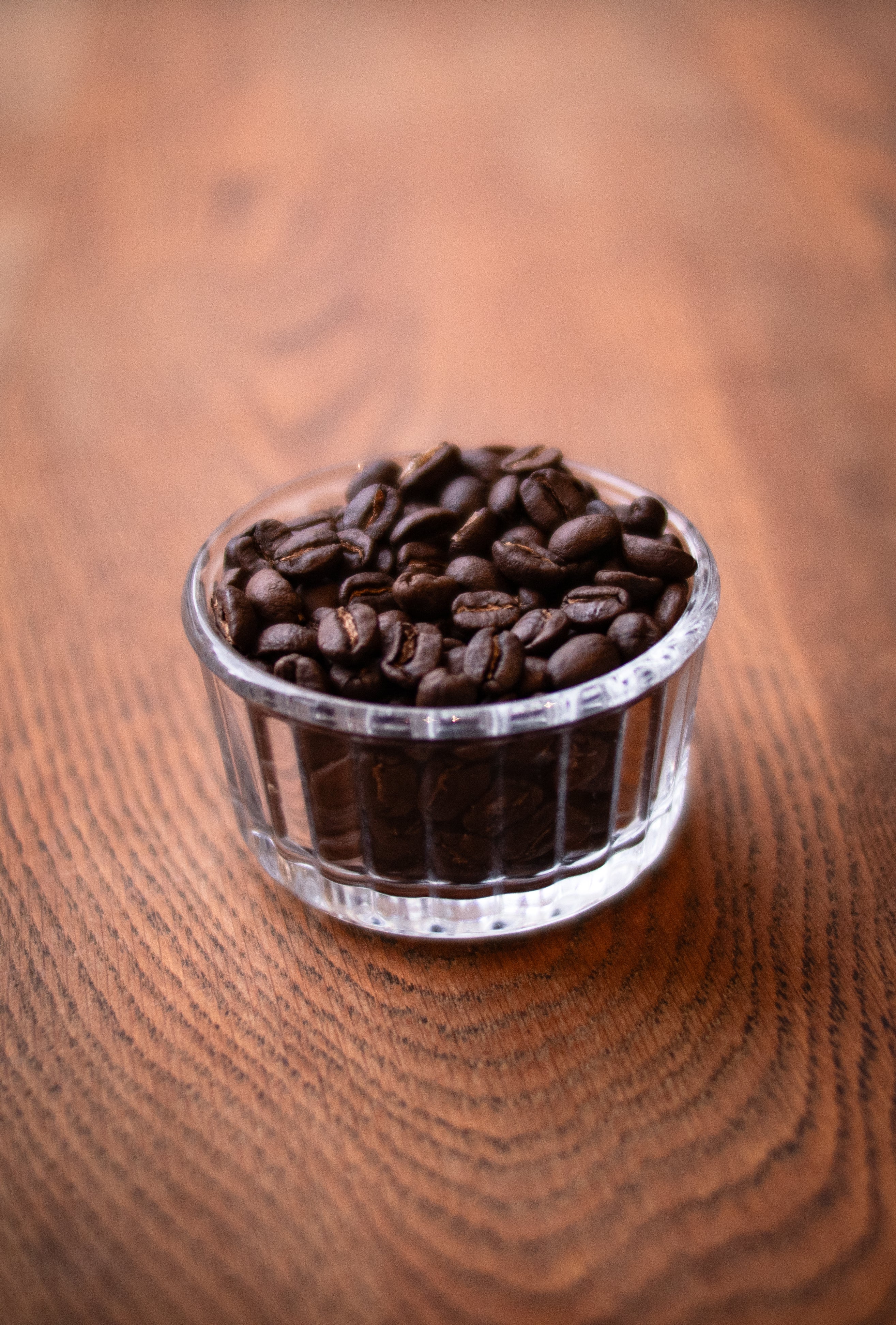 グアテマラ エスペランサ ラ ベガ| GUATEMALA, ESPERANZA LA VEGA