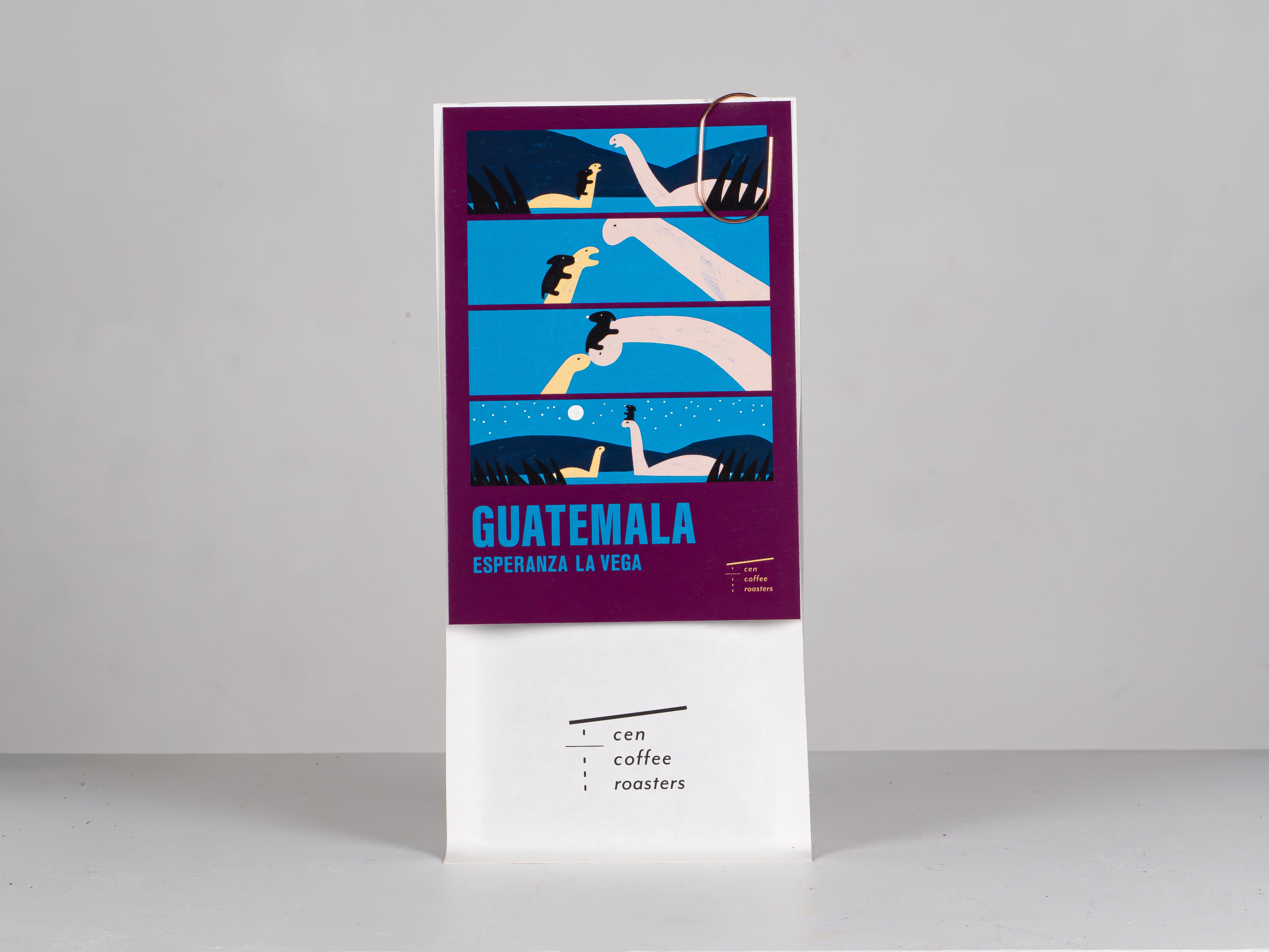 グアテマラ エスペランサ ラ ベガ| GUATEMALA, ESPERANZA LA VEGA