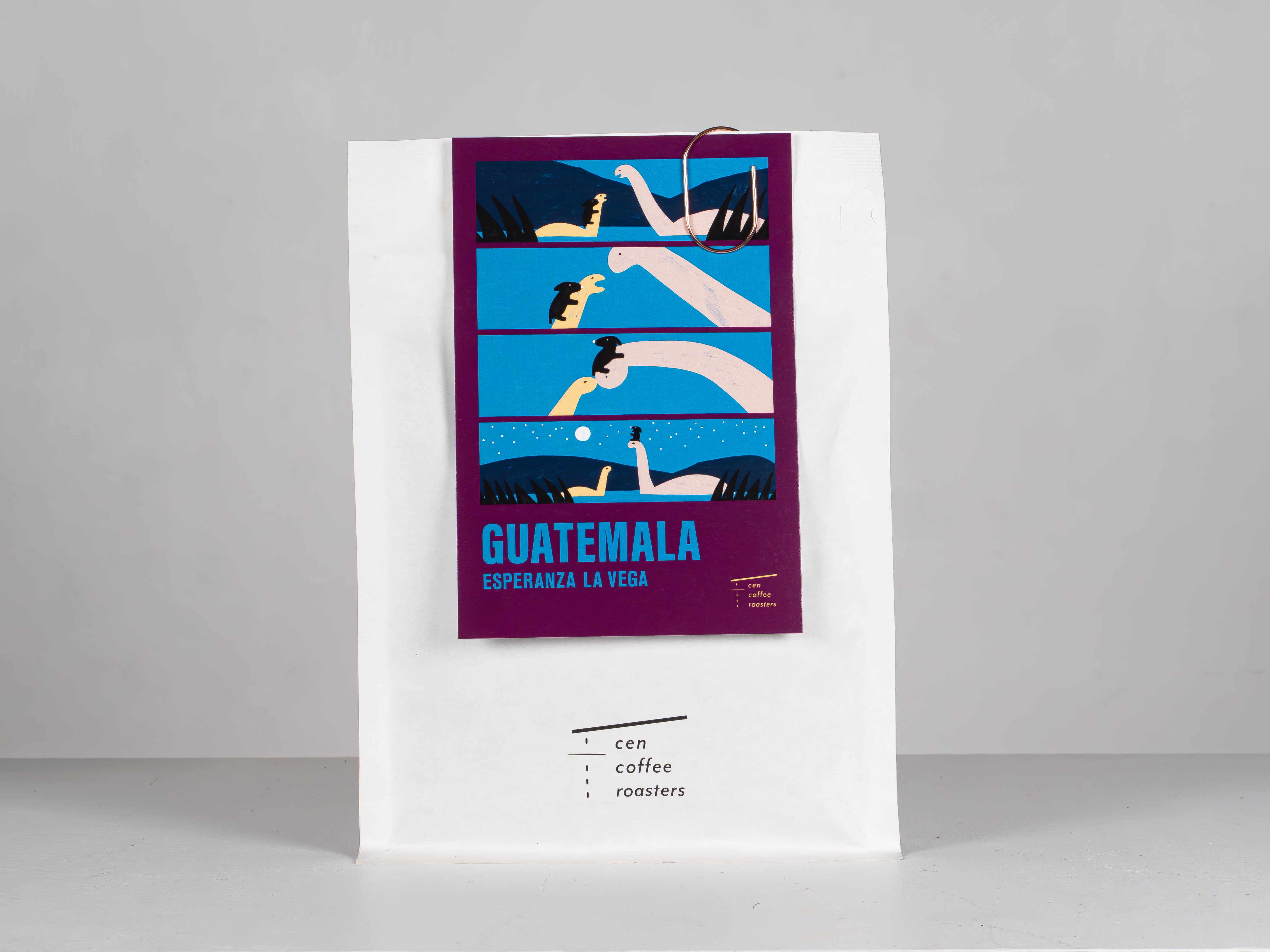 グアテマラ エスペランサ ラ ベガ| GUATEMALA, ESPERANZA LA VEGA