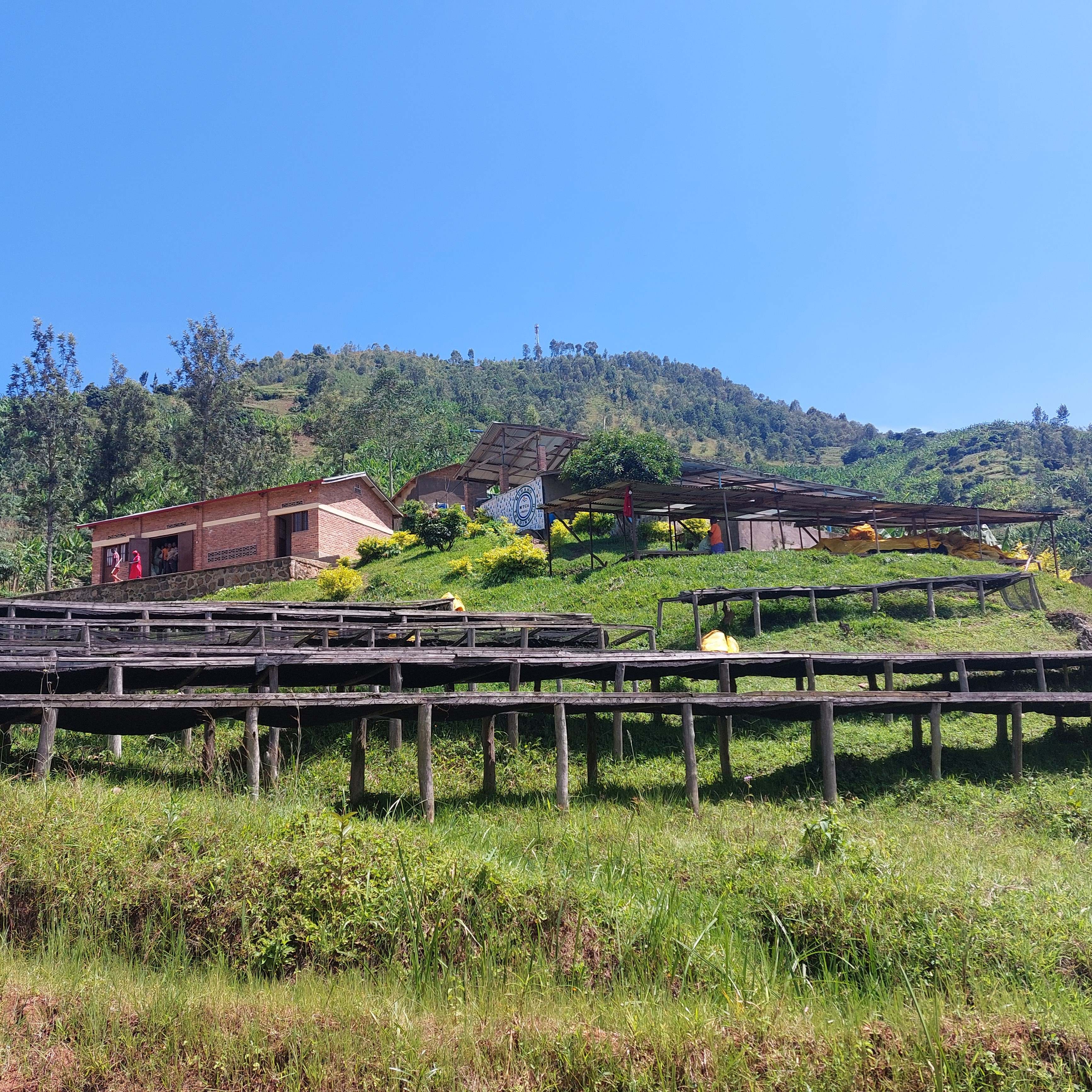 グアテマラ エスペランサ ラ ベガ| GUATEMALA, ESPERANZA LA VEGA