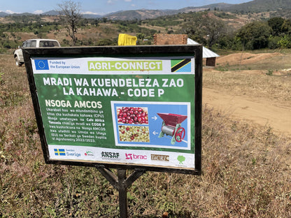 タンザニア ンソガ アナエロビック ｜TANZANIA, NSOGA ANAEROBIC