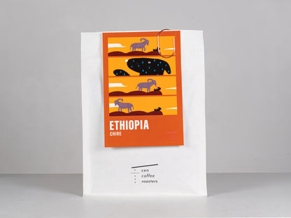 エチオピア チレ ｜ ETHIOPIA, CHIRE